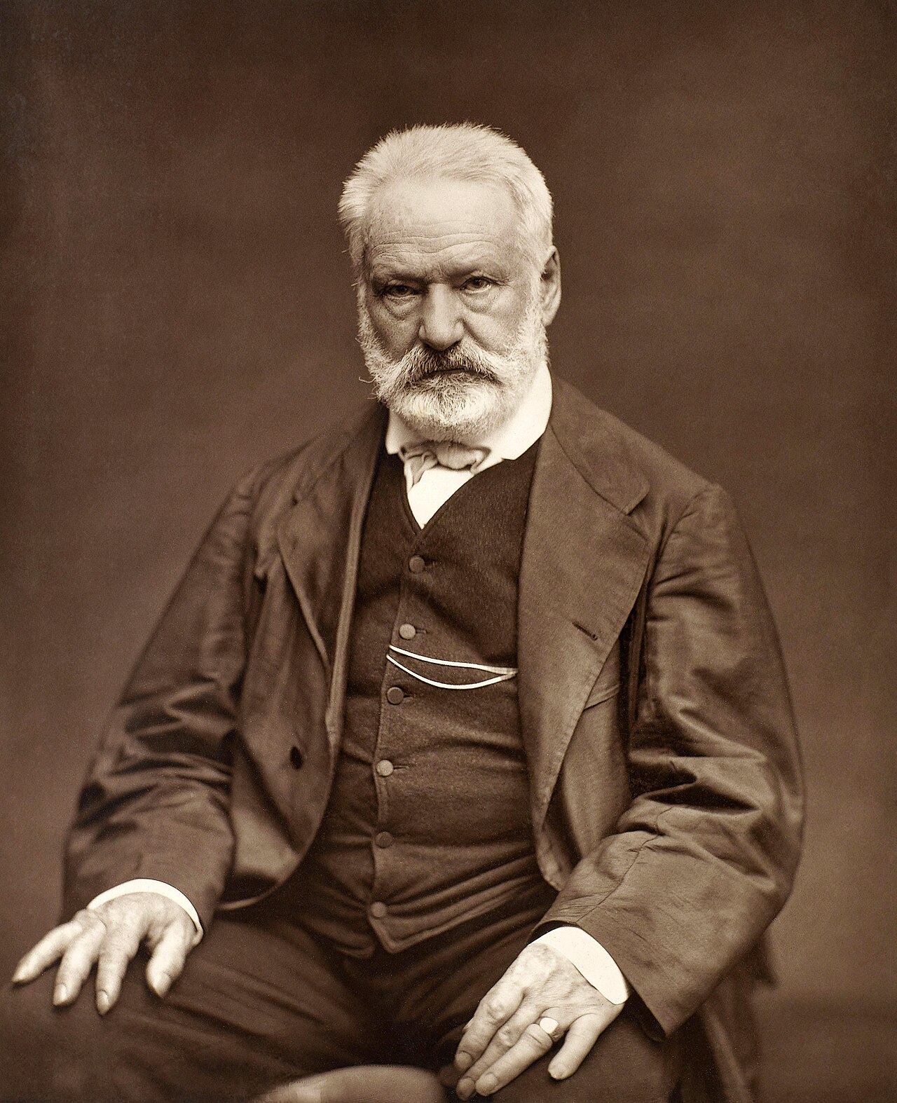 Victor Hugo'nun 1876 tarihli portresi